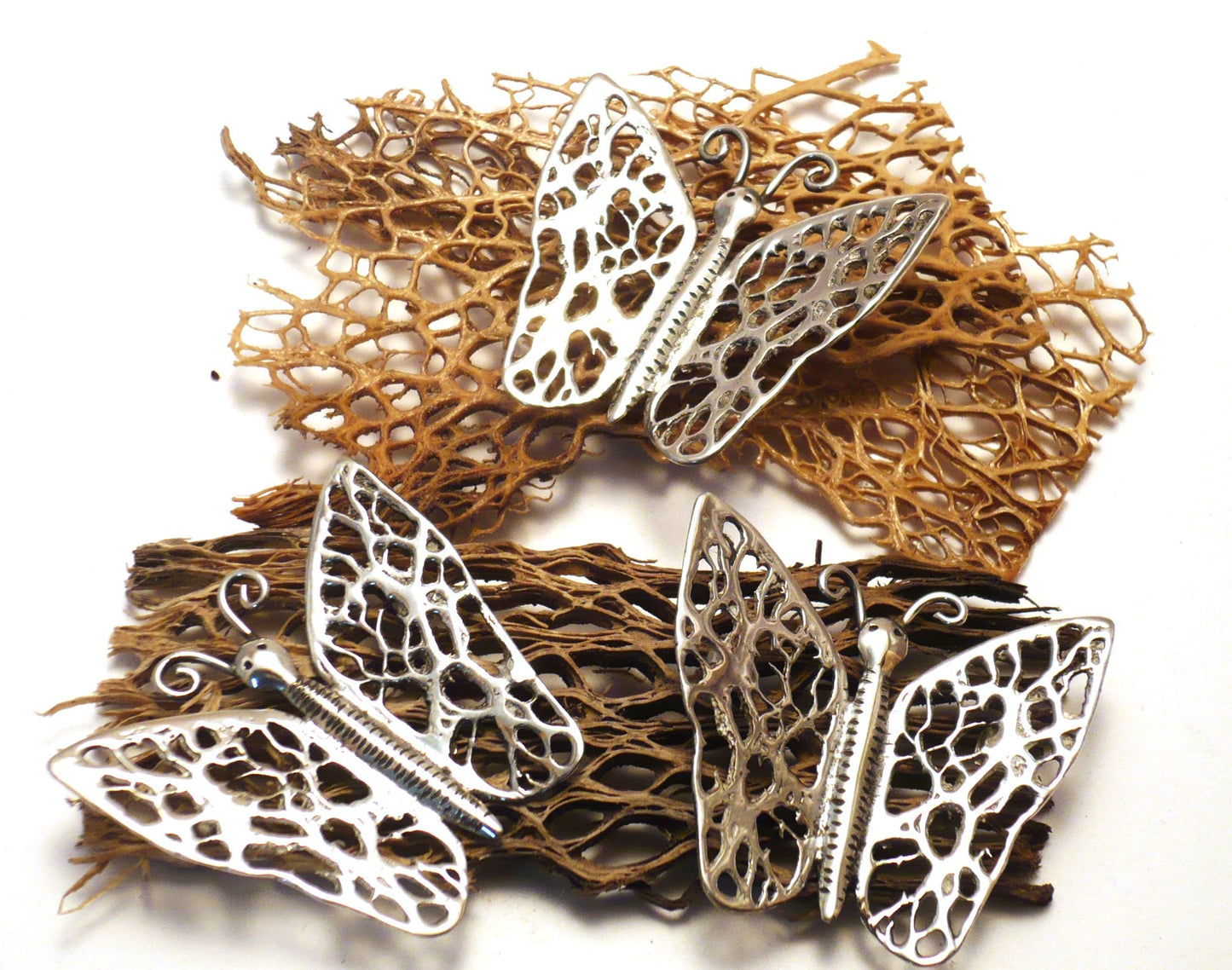 P1080041.jpg